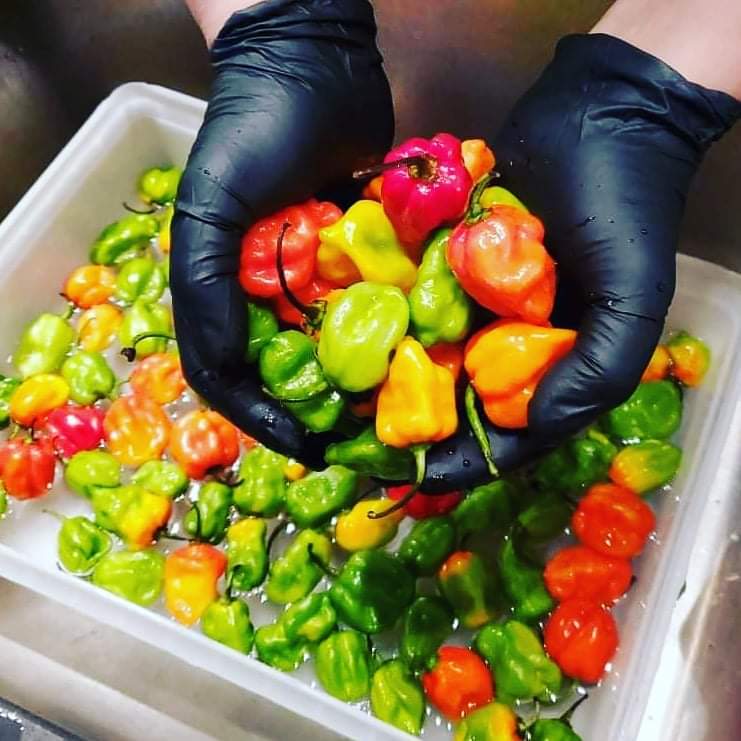 O'Pulence Sauce piquante Montréal